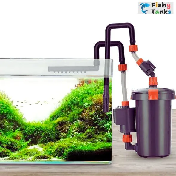 Type of Filter is Best for a Fish Tank