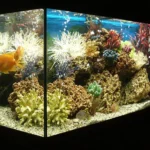 Fish Tank Heaters Safe