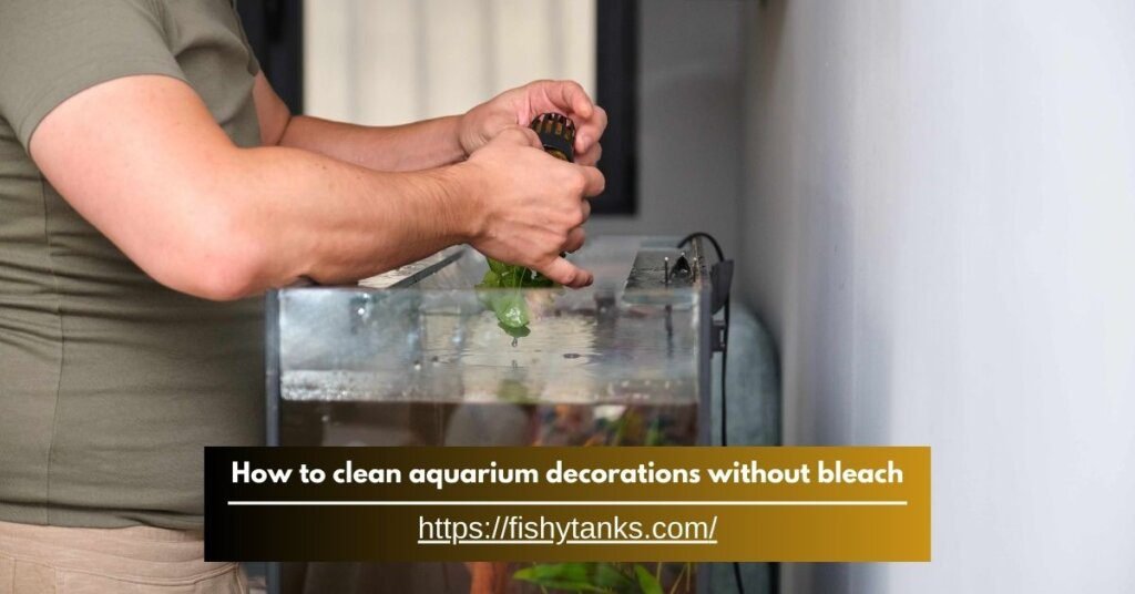 How to Clean Aquarium Decorations Without Bleach