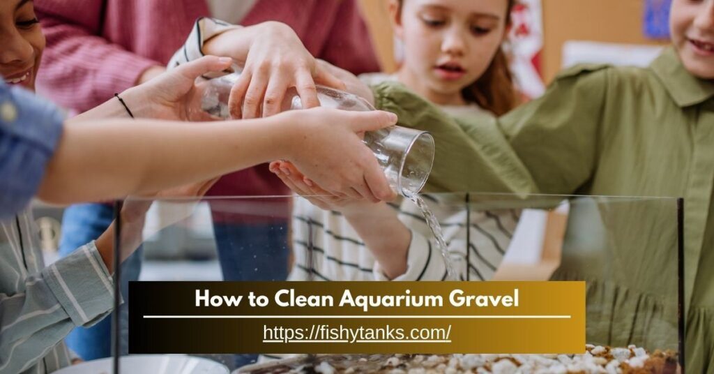 How to Clean Aquarium Gravel