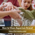 How to Clean Aquarium Gravel