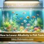 How to Lower Alkalinity in Fish Tank