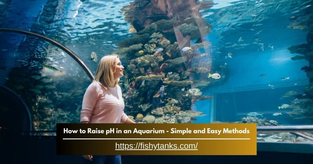 How to Raise pH in an Aquarium