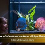 How to Soften Aquarium Water - Unique Methods