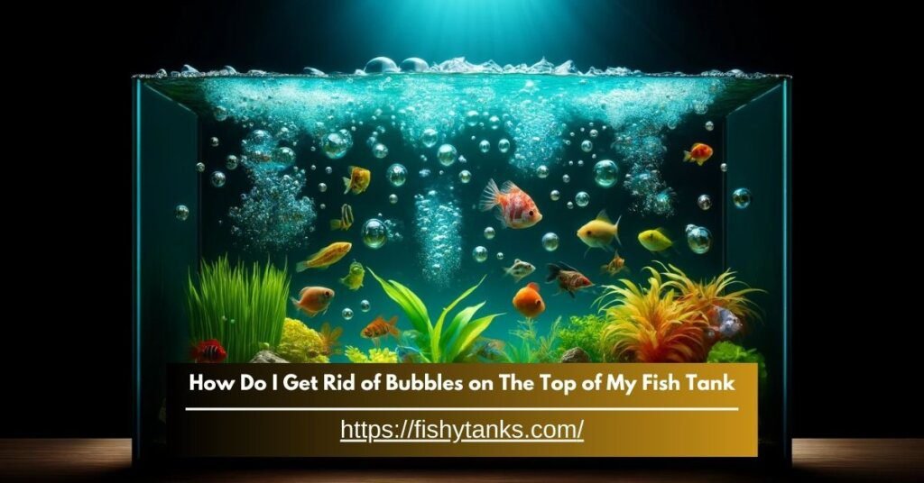 How to get rid of bubbles on top of fish tank