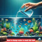 change water in small fish tank