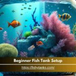 Beginner Fish Tank Setup Made Easy - Step-by-Step Guide