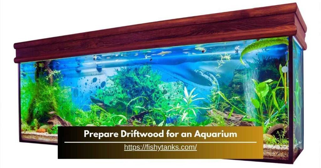 How to Prepare Driftwood for an Aquarium