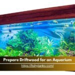 How to Prepare Driftwood for an Aquarium