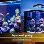 Aquarium Lighting - How to Choose a Perfect Lighting for Your Aquarium