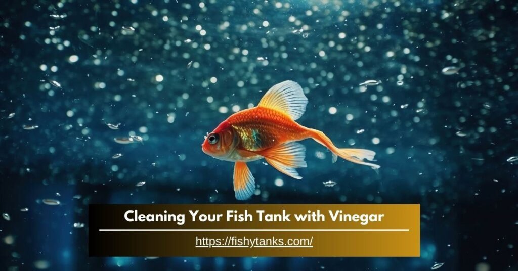 Cleaning Your Fish Tank with Vinegar