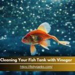 Cleaning Your Fish Tank with Vinegar