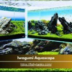 Iwagumi Aquascape