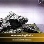 Simple Guide - Decorate Your Aquarium with Aquascaping Rocks